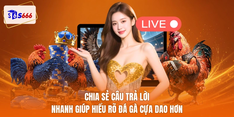 Chia sẻ câu trả lời nhanh giúp hiểu rõ đá gà cựa dao hơn