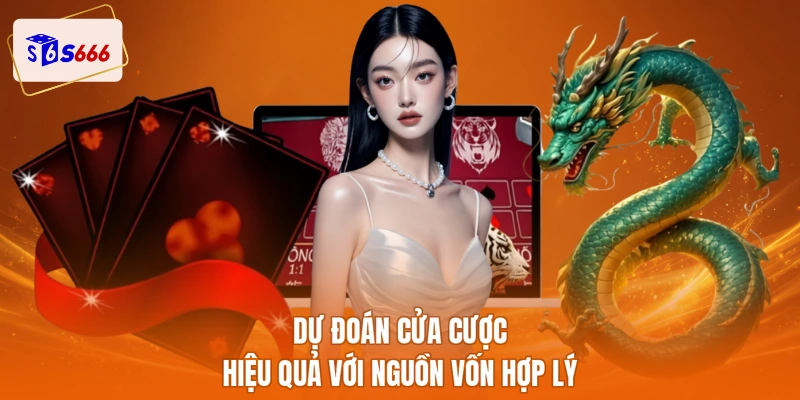 Dự đoán cửa cược hiệu quả với nguồn vốn hợp lý