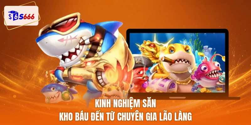 Kinh nghiệm săn kho báu đến từ chuyên gia lão làng
