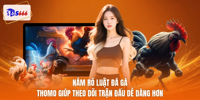 Nắm rõ luật đá gà Thomo giúp theo dõi trận đấu dễ dàng hơn