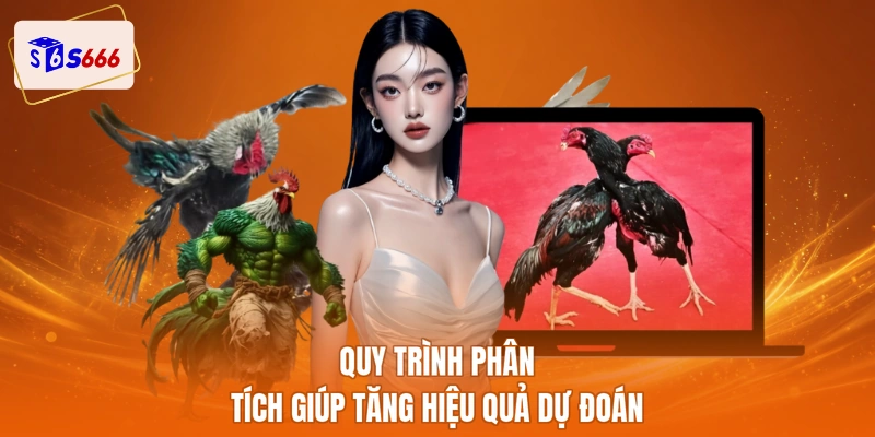 Quy trình phân tích giúp tăng hiệu quả dự đoán