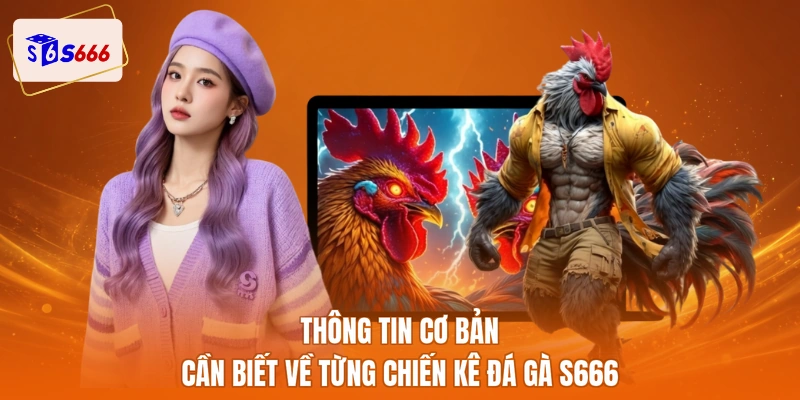 Thông tin cơ bản cần biết về từng chiến kê đá gà S666