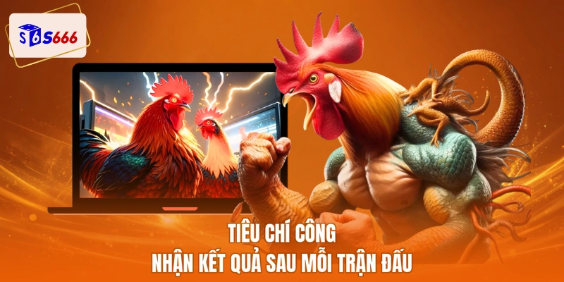 Tiêu chí công nhận kết quả sau mỗi trận đấu